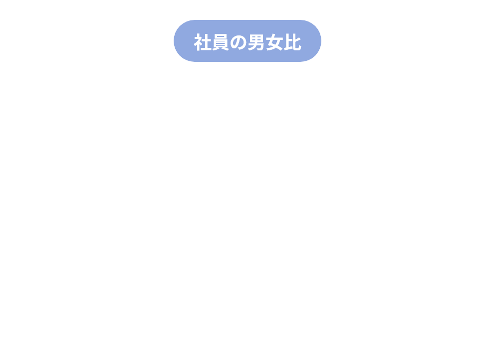 社員の男女比
